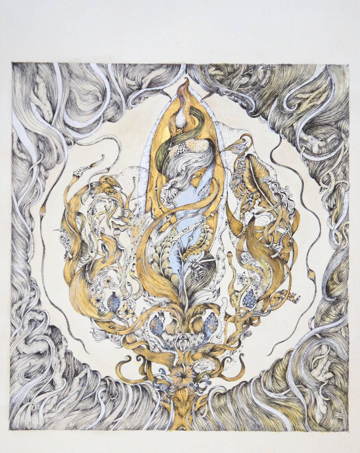 images of meyoko's volta from  The Debut's Collection