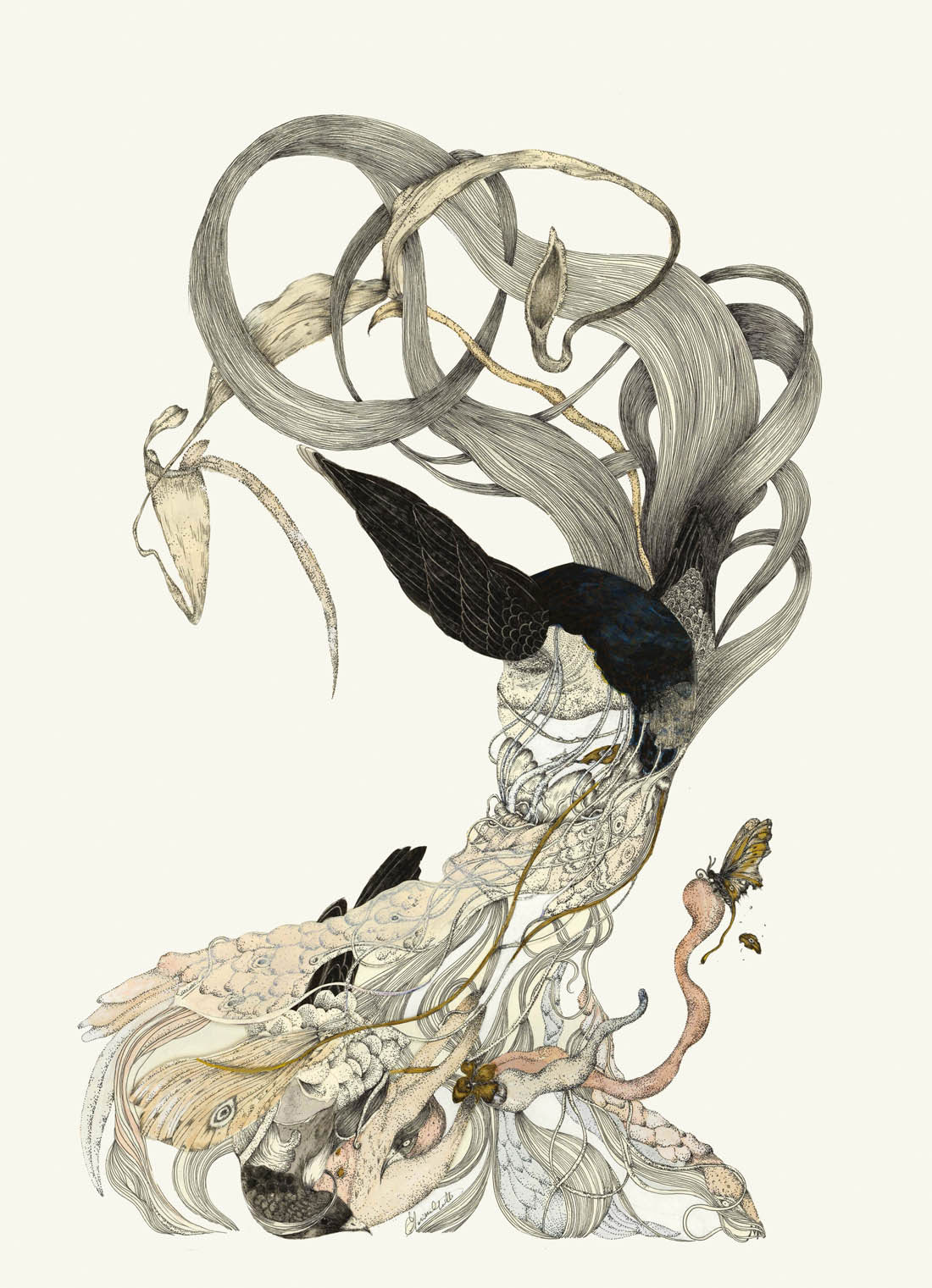 images of meyoko's No Collection series